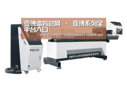 案例展示三