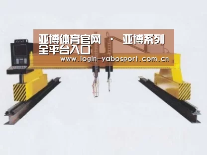 产品名称十七