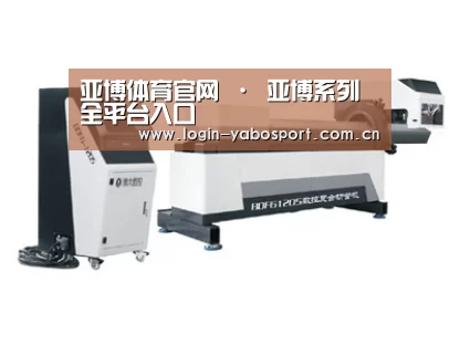 案例展示四