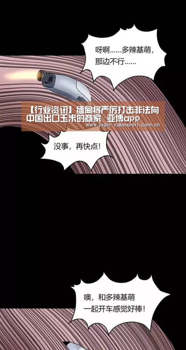 【行业资讯】缅甸将严厉打击非法向中国出口玉米的商家-亚博app(图2) 亚博app