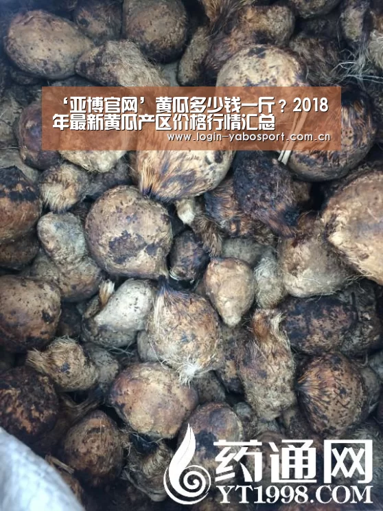 ‘亚博官网’黄瓜多少钱一斤?2018年最新黄瓜产区价格行情汇总(图3) 亚博中国官网