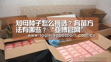 知母种子怎么挑选？育苗方法有哪些？‘亚博官网’