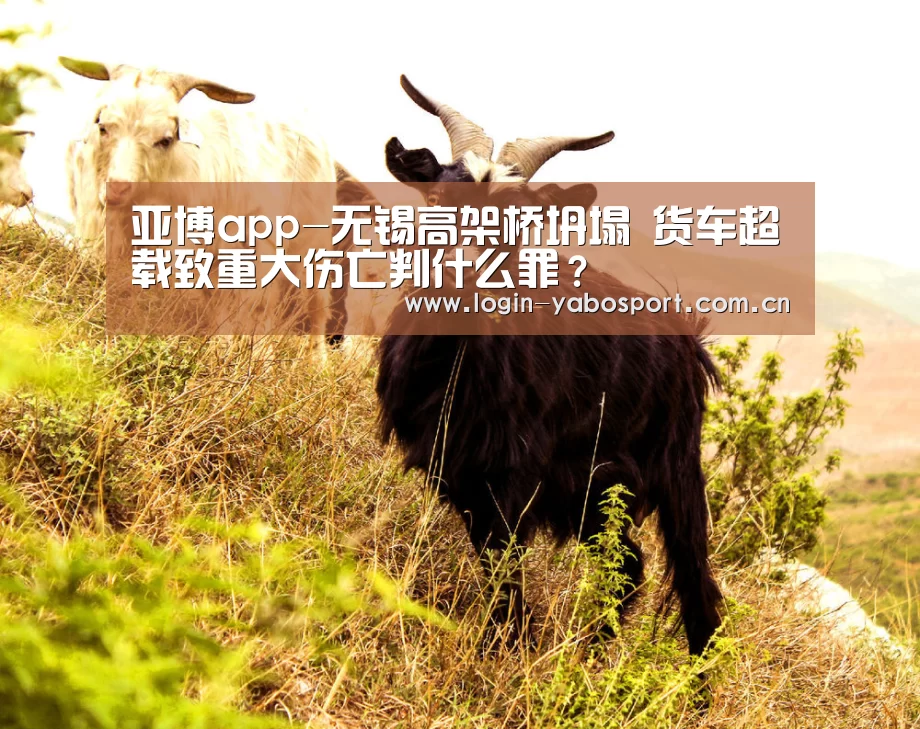 亚博官网