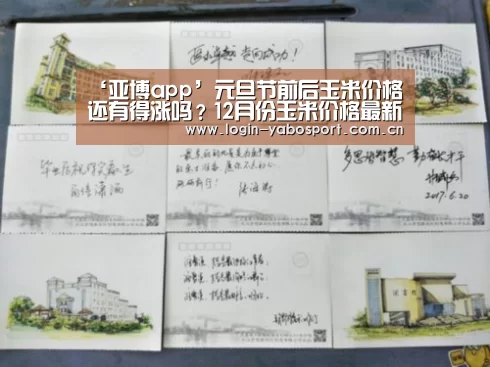 ‘亚博app’元旦节前后玉米价格还有得涨吗?12月份玉米价格最新行情预测(图2) 亚博平台