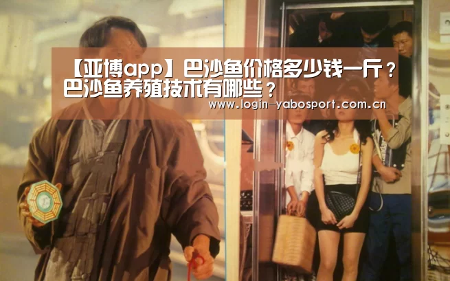 【亚博app】巴沙鱼价格多少钱一斤?巴沙鱼养殖技术有哪些?(图2) 亚博平台