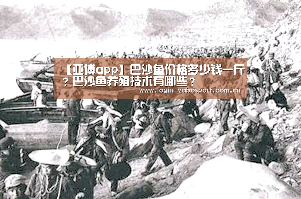 【亚博app】巴沙鱼价格多少钱一斤?巴沙鱼养殖技术有哪些?(图4) 亚博平台